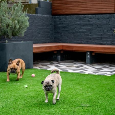 Doghouse Margate Bed & Breakfast Eksteriør bilde